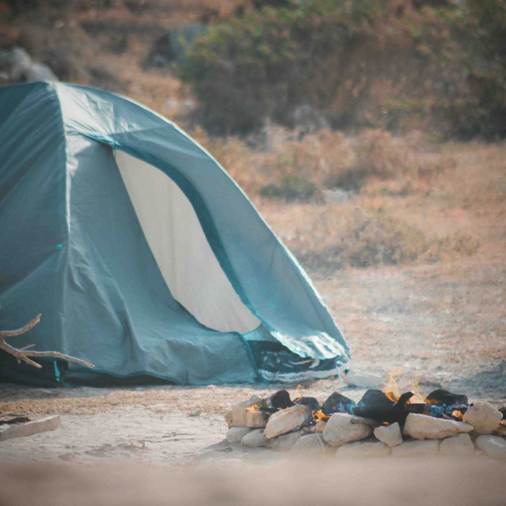 tent in the grass